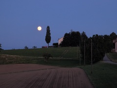 Mond über dem Lindhof <br>